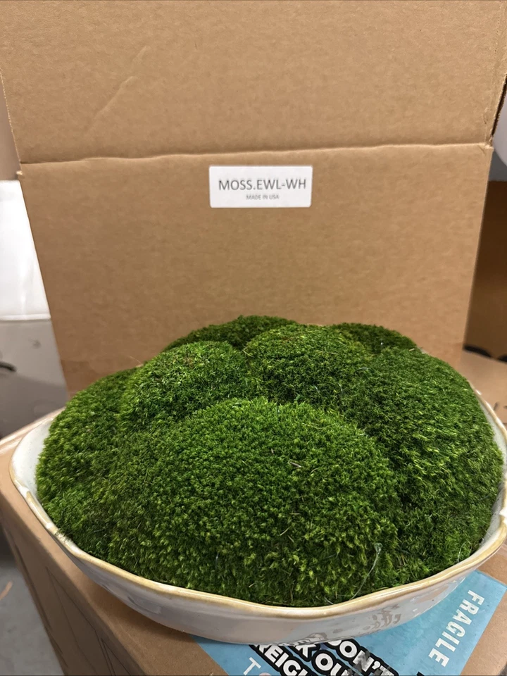 Diane James Home - MOSSY MOOD $410 Foto 2 de 4