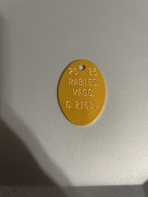 1  Aluminum 2026 Rabies Vaccination Dog Tags  Vet Tag Dogs Cats
