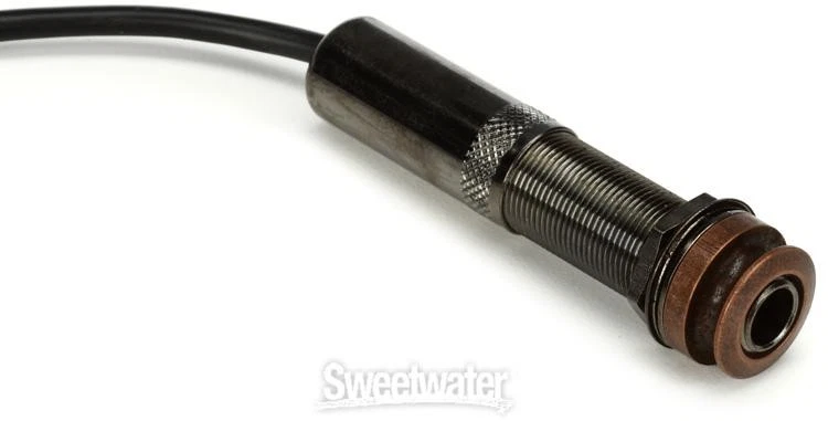 Guitarra Acústica Pasiva LR Baggs M1 Soundhole Pastilla Humbucker Foto 4 de 4