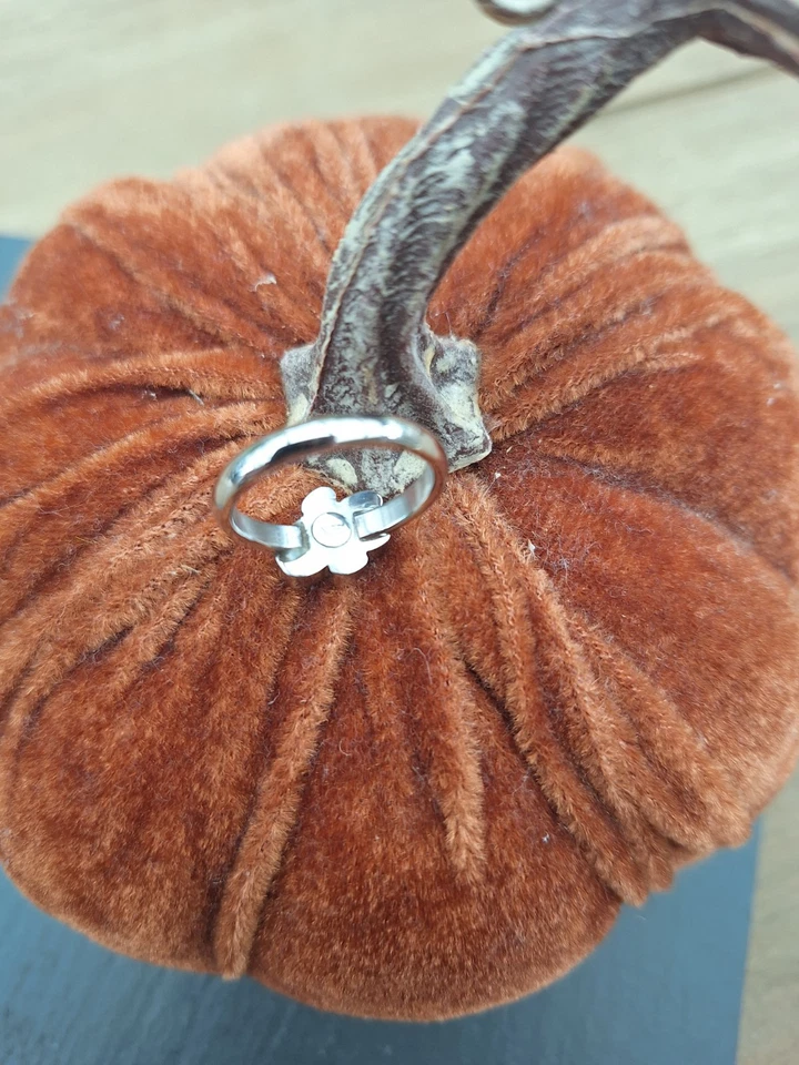 Ring Magnetschmuck mit Hundepfote - Bild 4 von 4