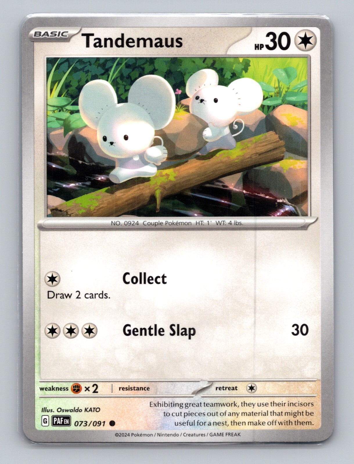 Tandemaus 073/091 Paldean Fates Common NM PAF EN Pokemon Card Scarlet & Violet