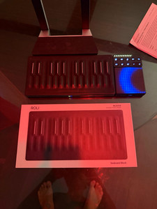 Roli Seaboard Block | eBay