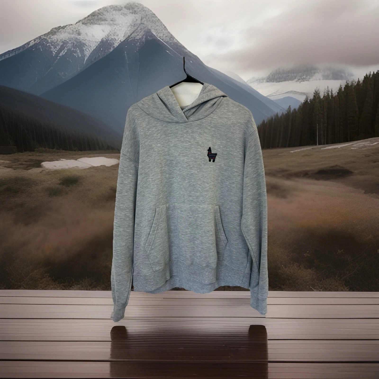 Tentree Hoodie Sweatshirt Womens L Gray Pullover Alpaca Logo Hiking Outdoors
Opens in a new window o
