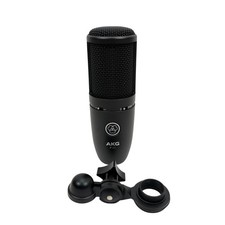 AKG P120 Project Studio Condenser Microphone
