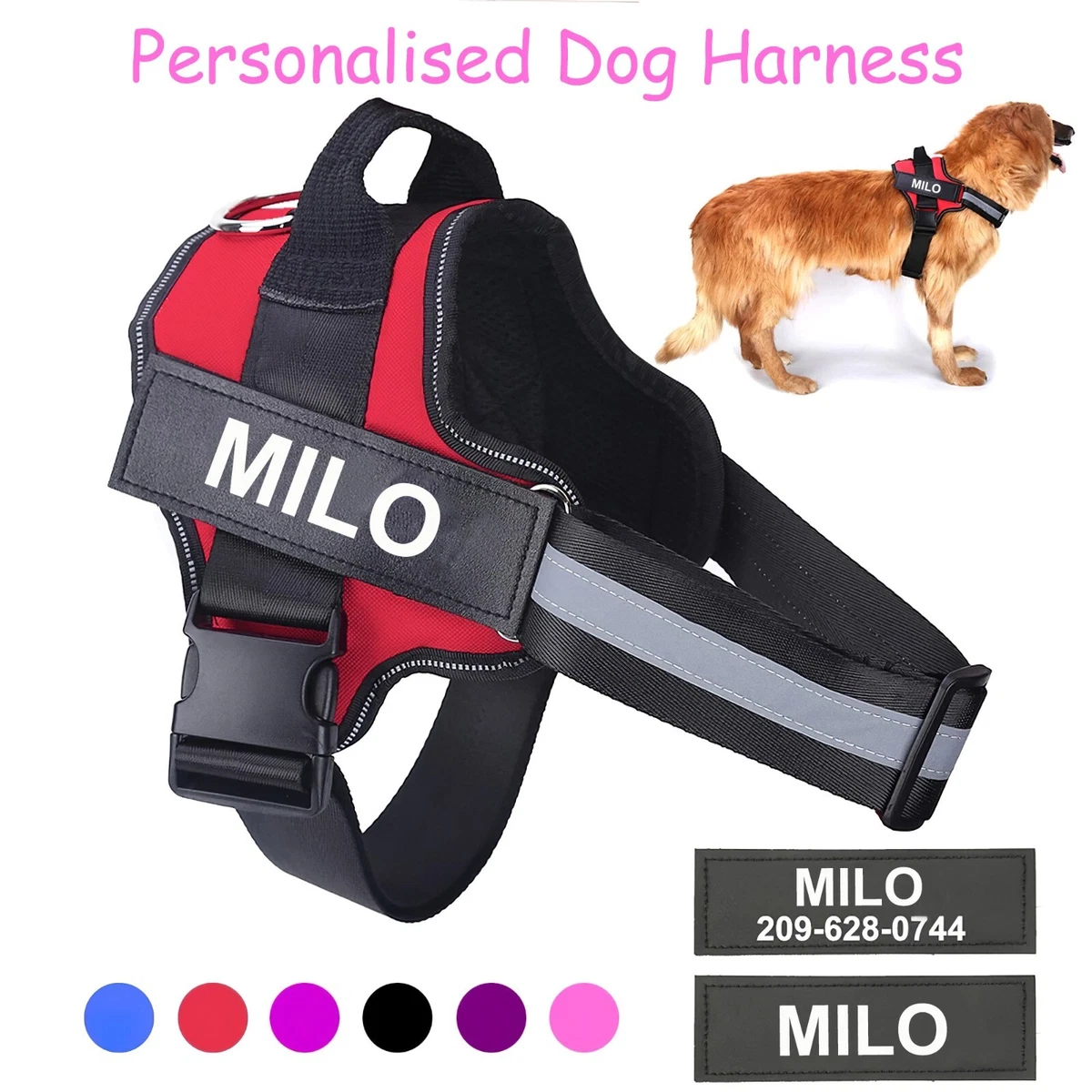 Personalised 2024 dog harness