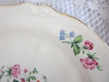 Homer Laughlin Springtime Virginia Rose China Dinnerware Per Piece CHOICE