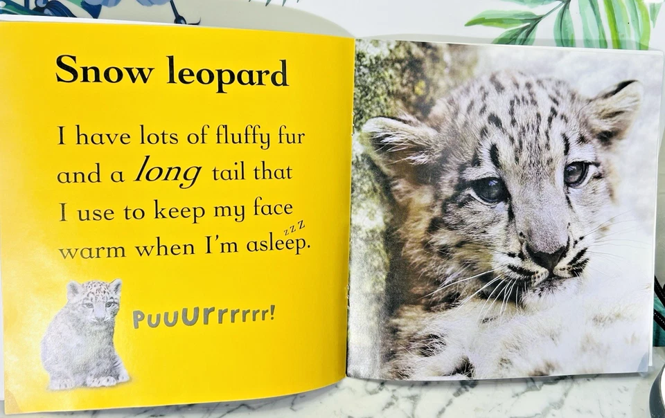 Kids Picture Book - Baby Animals in the Snow - Paperback - VERY GOOD 2010 - Image 2 of 3