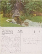 unsent, Eternal Tree House, Redcrest CA, 1952