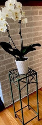 Rare Hard To Find Vintage Shabby Chic Green Metal Plant Stand Bamboo Motif
