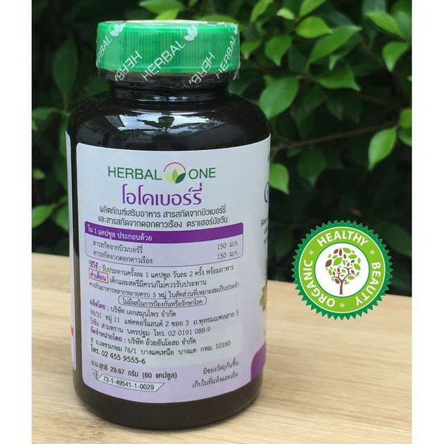 Supplement Berry Improve Eye Vision Reduce Fatigue Bilberry Extract