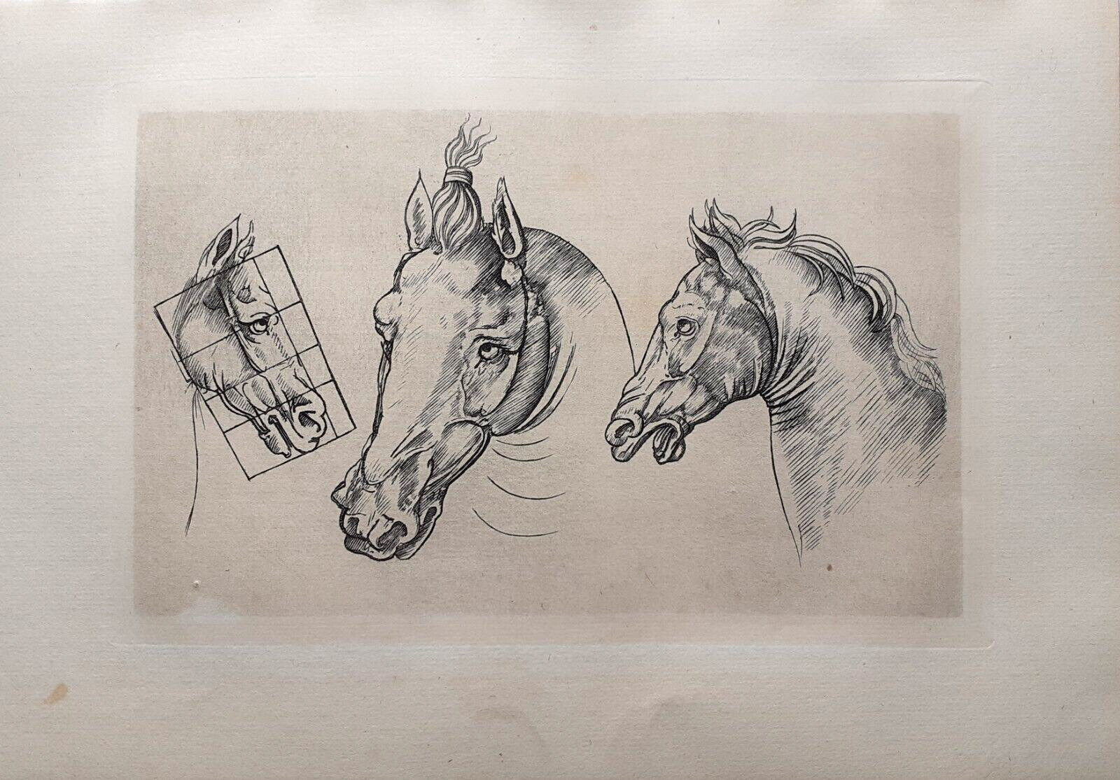 LEONARDO DA VINCI THREE HEADS OF HORSES 19thC. HELIO. by AMAND