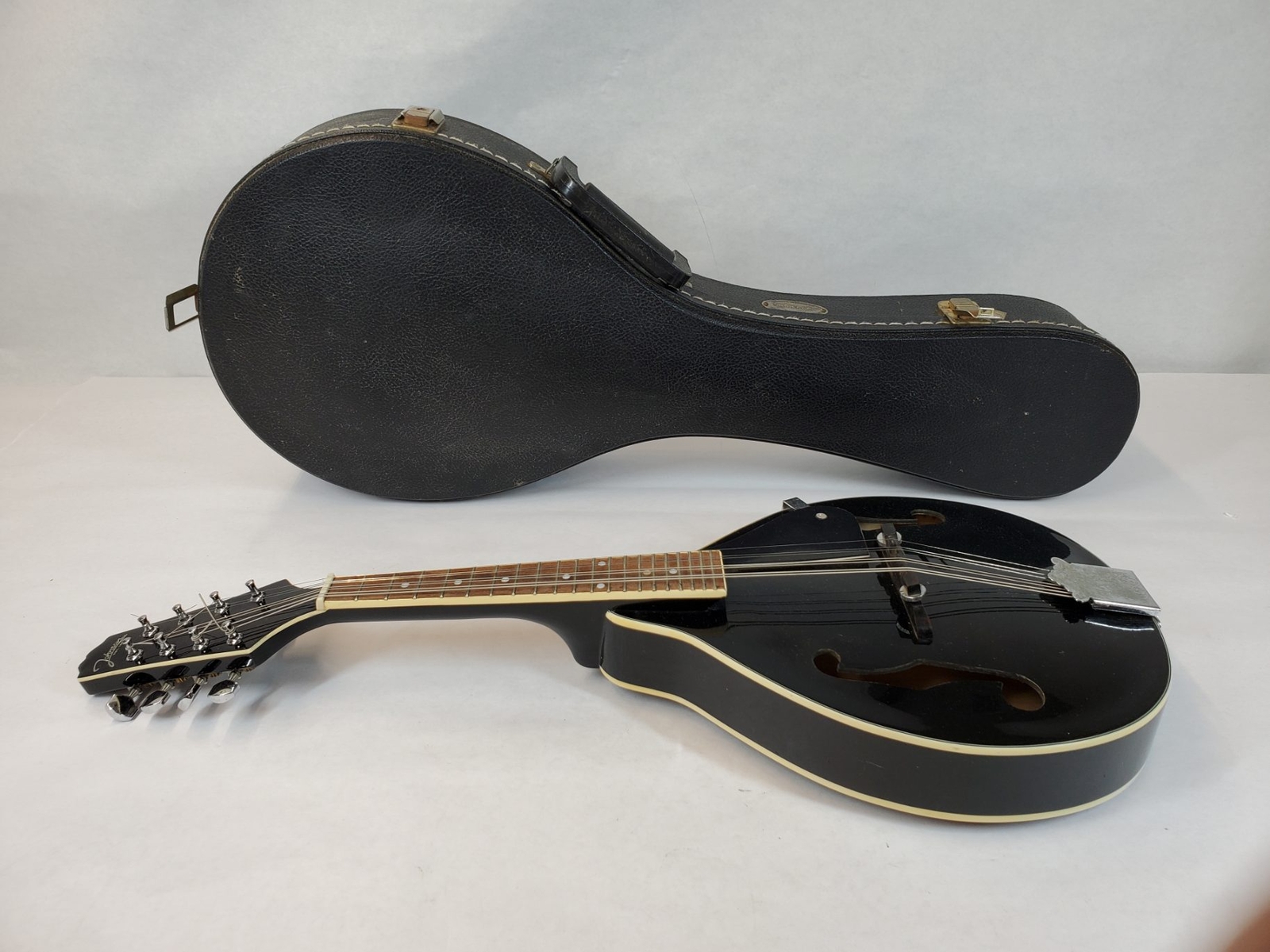 Johnson MA100B Mandolin W/ Hard Case eBay
