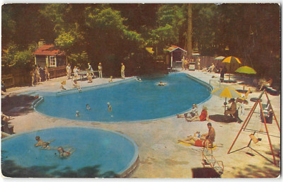 BARNEY MORROW'S Brookdale Lodge Swimming Pool Santa Cruz 1950s Vintage Postcard