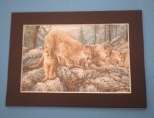 5" x 7" Matted 4" x 6" Print of Painting of Mother Mountain Lion & 3 Kittens