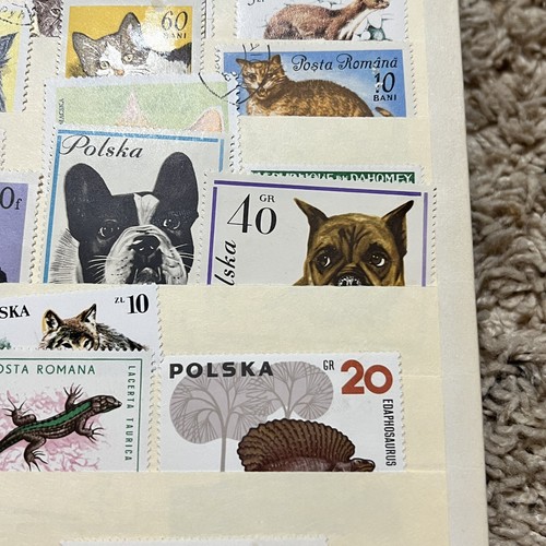 WORLDWIDE ANIMAL STAMPS LOT IN STOCK PAGE REPTILES, CATS, DOGS, HORNED & MORE - Picture 7 of 10