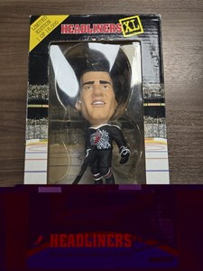 Headliners XL | eBay