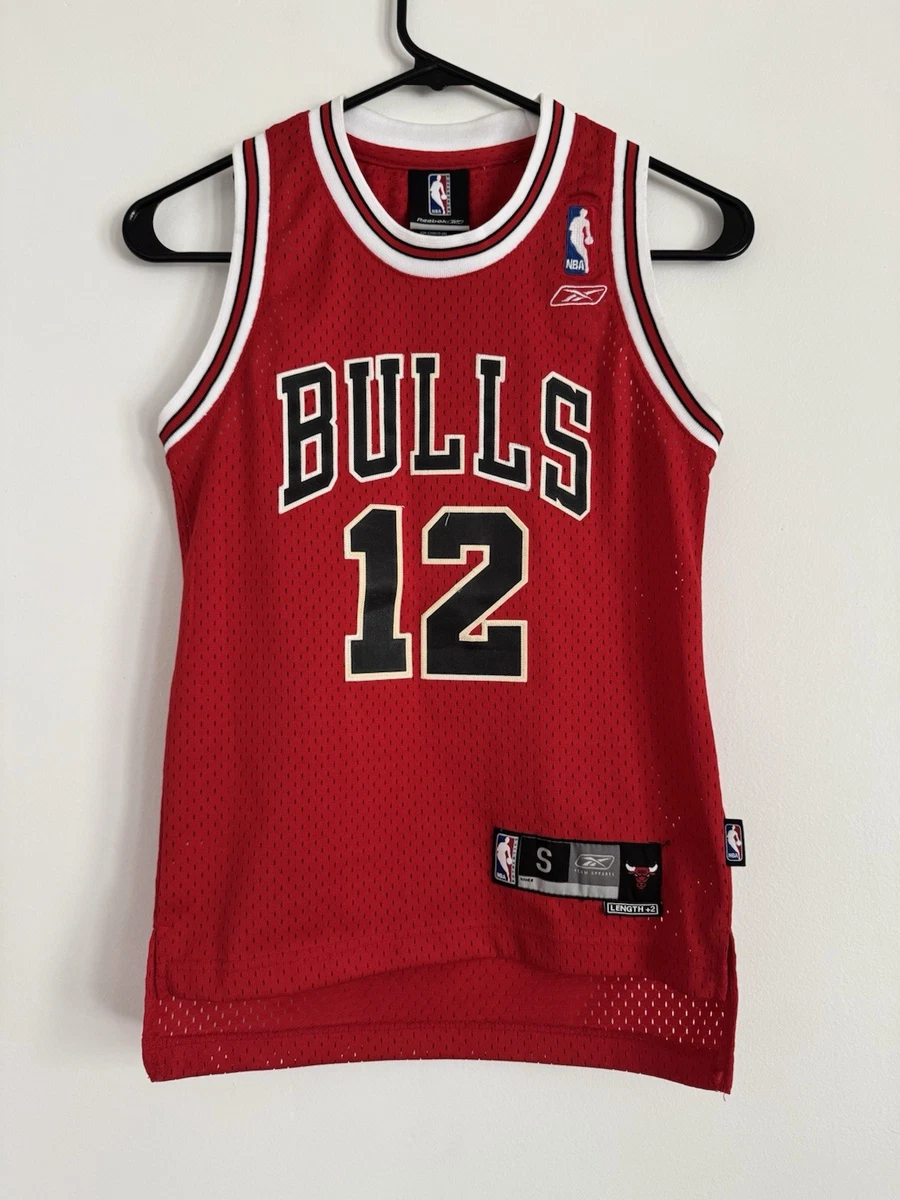 kirk hinrich jersey products for sale | eBay