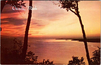 #ad #ad Postcard WATER SCENE Oscoda Michigan MI m 01 AL5240 $2.39