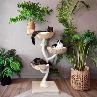 Natural Wood Cat Tree Halloween Wood Scratching Tower Bed Hammock Large Size ...
