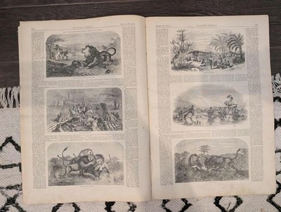 1857 Harper's Weekly Aug 29 Poughkeepsie New York Staten Isl Brazil Gold Mining