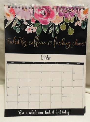 F*ck It Calendar 2025 For Tired-Ass Women Wall Calendar 11" by 8" Spiral - Picture 11 of 14