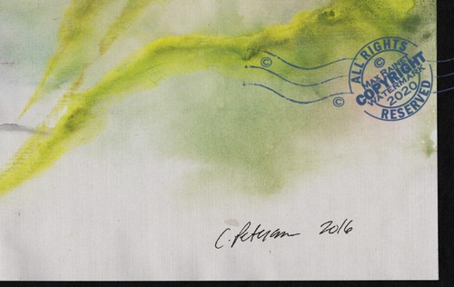 The Dancer's Shadow 2016 C Peterson ** Abstract ** Watercolor Painting Mystical - Picture 6 of 12