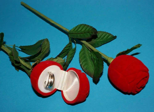 Confezioni in plastica per gioielli