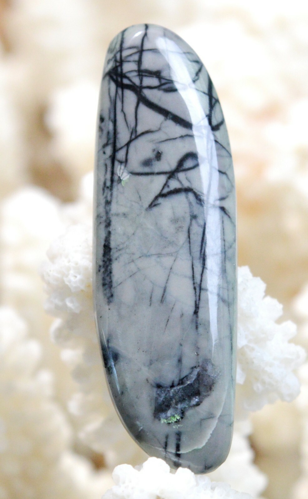 Jaspe Picasso 31 carats, pierre fine naturelle d'Utah AW74 haut de gamme pour collectionneur