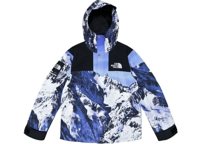 Parka de montagne Supreme x The North Face L bleu Gore Tex 100 % logo de boîte authentique