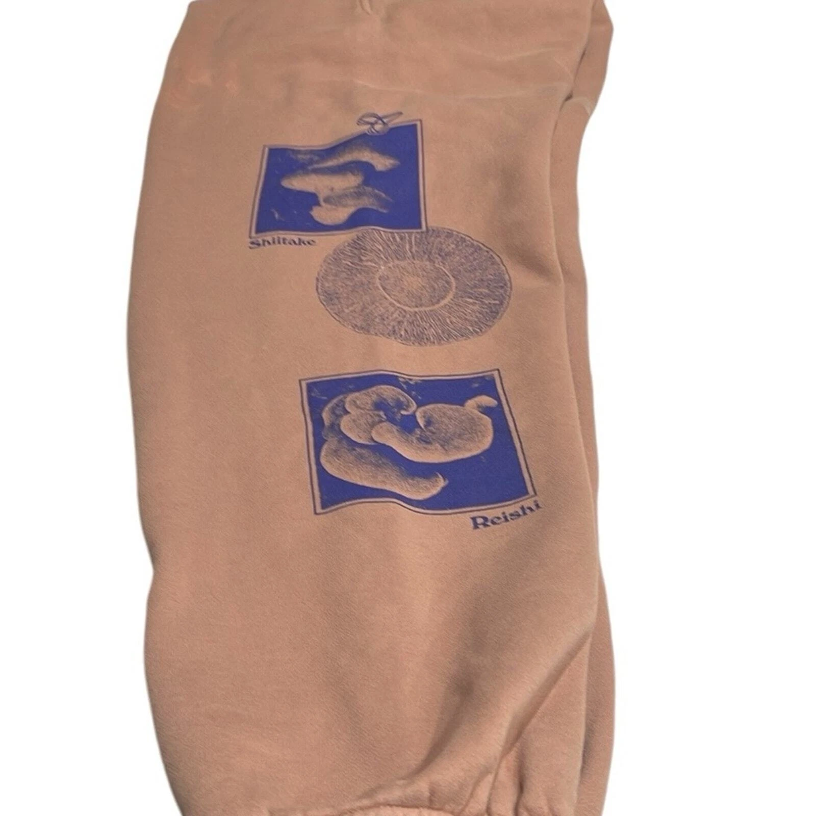 aritzia mushroom graphic sweatpants