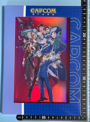 All Capcom acrylic colored paper Chisato Mita Leon Claire Dante Morrigan