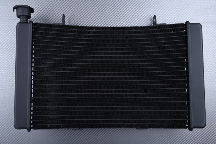 Radiateur eau Benelli TreK 899 pièce de rechange refroidissement moto 2009-2014