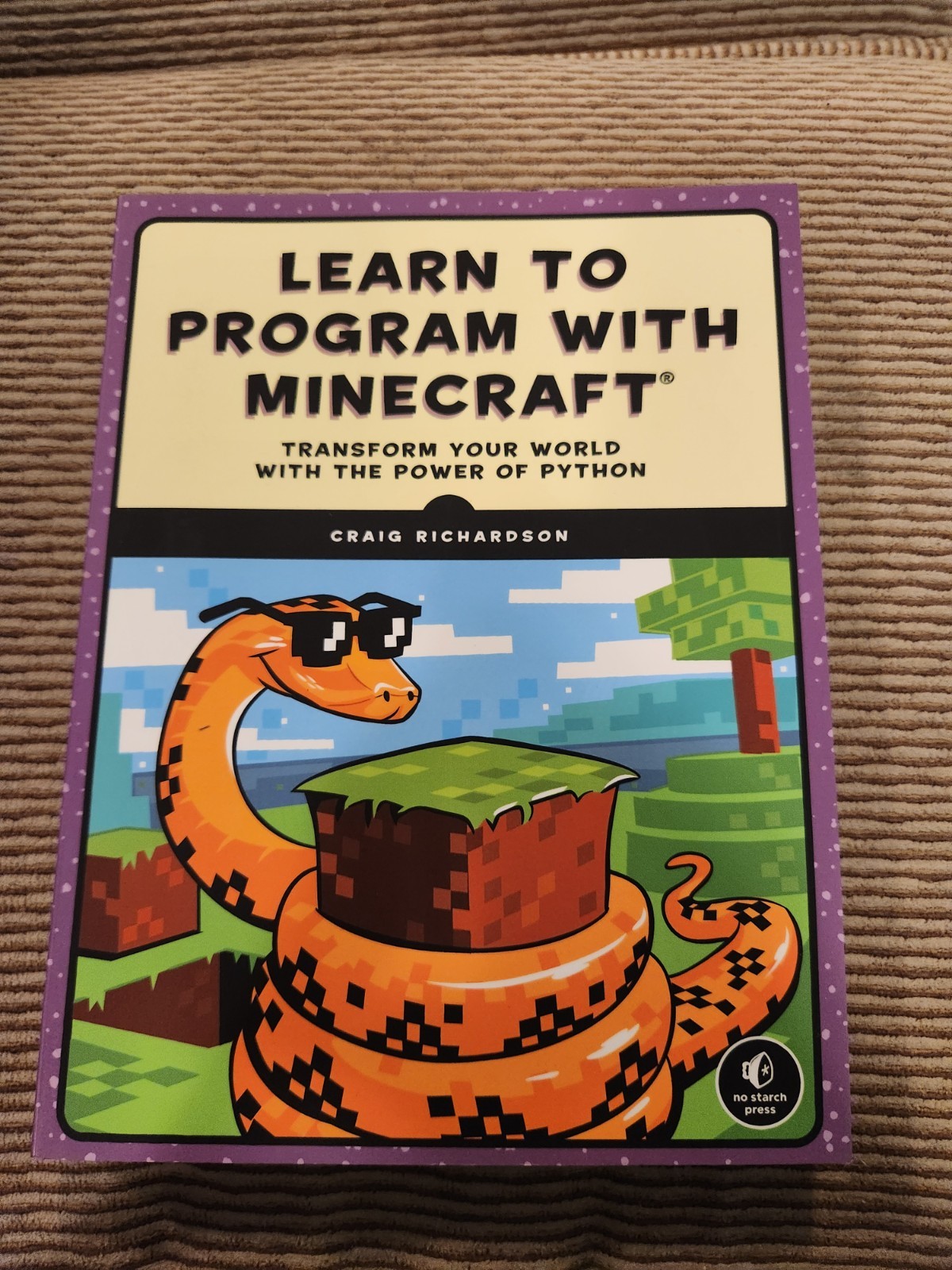 Learn To Program With Minecraft