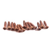 AGP Aged Relic Phillips Head Pickguard Screws for Tele and Strat-Style Guitars