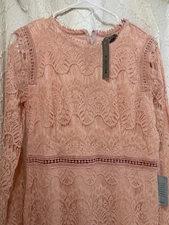 Love X Design Vintage Powder Pink Lace Spring Dress. NWT Classy Chic Size L