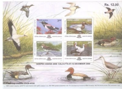 India 2000 Migratory Birds Ducks Indepex Asiana hoja en miniatura - Imagen 1 de 2
