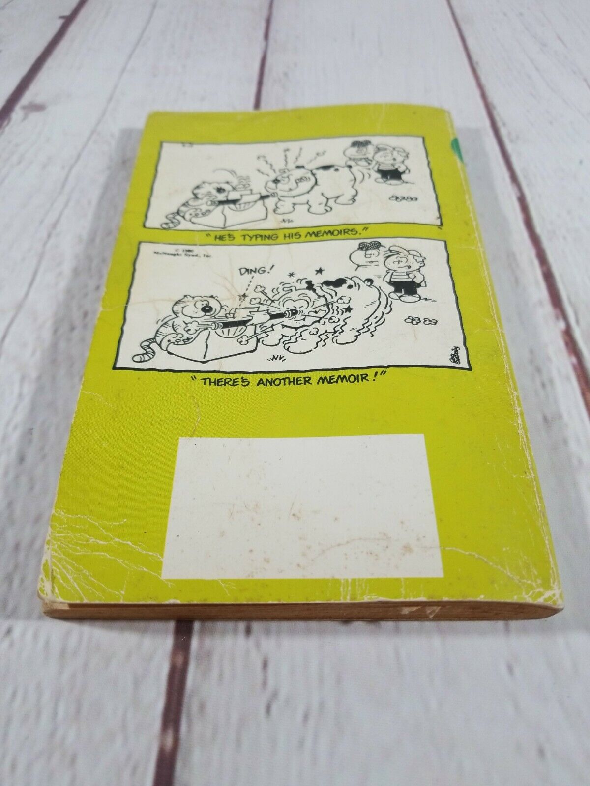 Foto 10 di 10