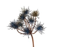 Kunstblume Allium Dh 20X75 Cm Blau Pflanze Kunstpflanze Zimmerpflanze