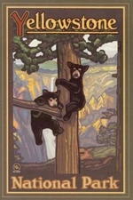 Yellow Stone National Park Travel  Poster Print  Reproduction Giclee Print 11x17