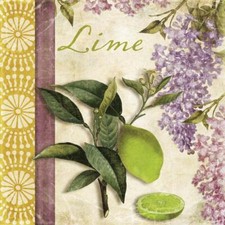 Ceramic Backsplash Tile Mural Fruit Kitchen/Bathroom - Summer Citrus IV