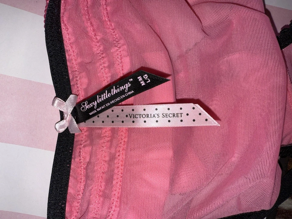 Vintage Victoria’s Secret RARE Sexy Little Things Sheer Pink Ruffle Panties M/L - Image 4 of 4