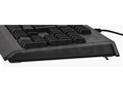Razer Cynosa Lite Gaming Keyboard Membrane Switches TKL Chroma RGB PT