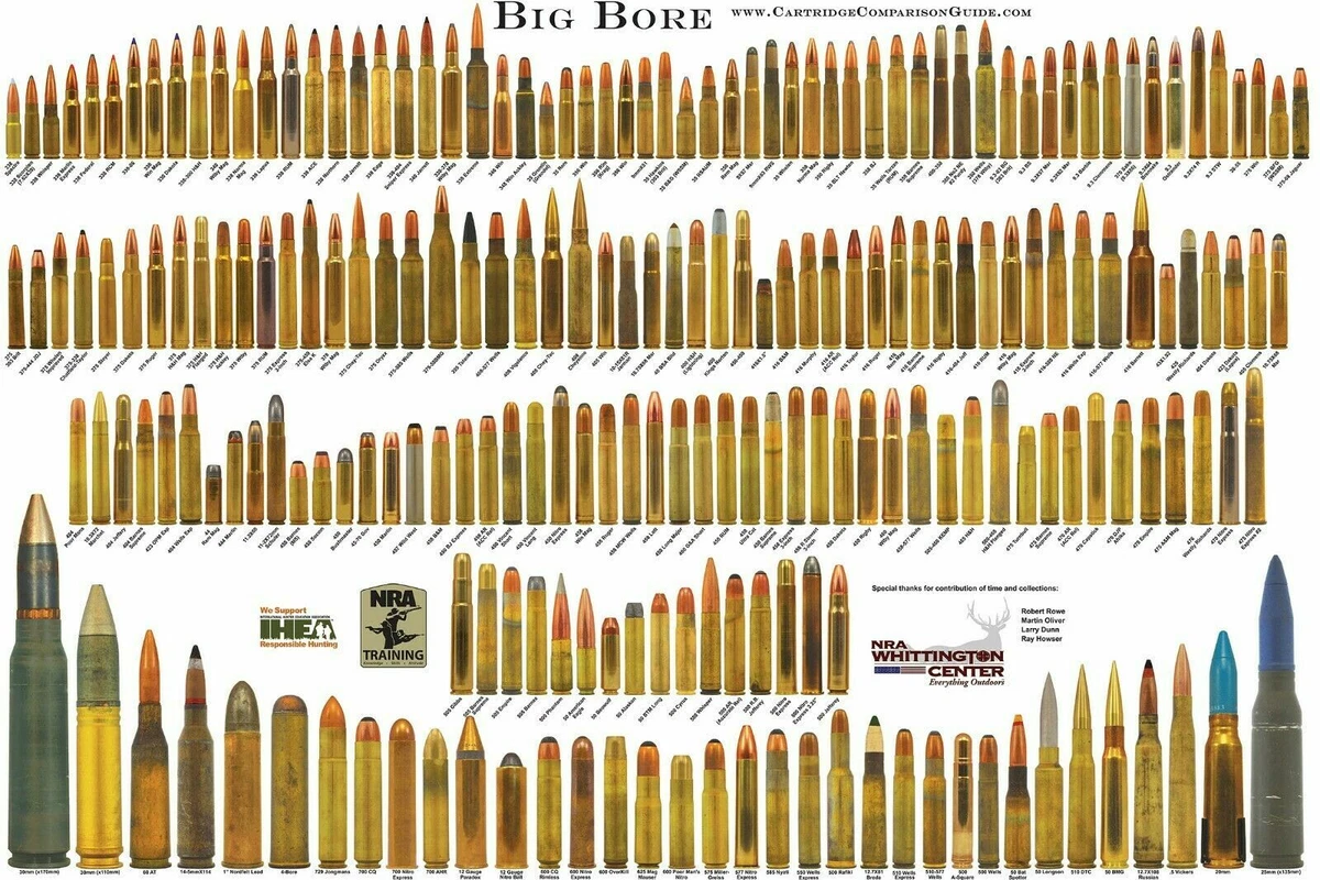 Big Bore Rifle Cartridge Chart Wall Poster Multiple Sizes 11x17-24x36 | eBay