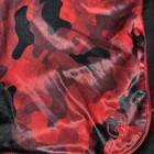 Bild 4 von 7