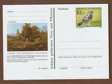 Bildpostkarte 5,00 Schilling Blaukehlchen 197 / 2 Miesenbach im Piestingtal