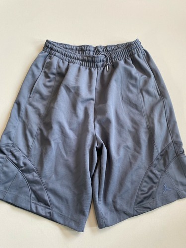Air Jordan Shorts Men's Large Mesh 