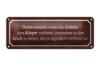 Blechschild Spruch 27X10 Cm Stress Entsteht Wenn Das Gehirn Deko Schild Tin Sign