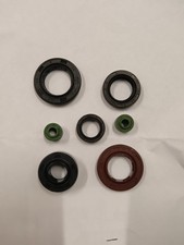 Kit Paraoli motore YX 150 160 pitbike minigp 