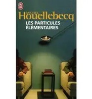 Les Particules Elementaires Michel Houellebecq Taschenbuch 316 S. FranzöSisch