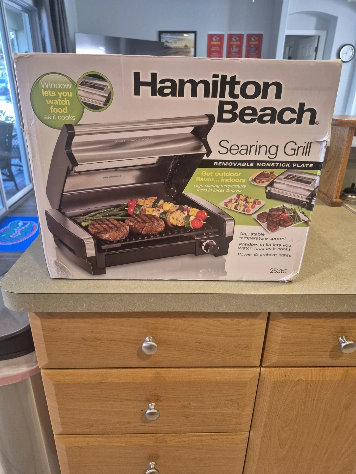 Hamilton Beach Searing Grill Indoor Electric Grill Removable Nonstick Plate 2536